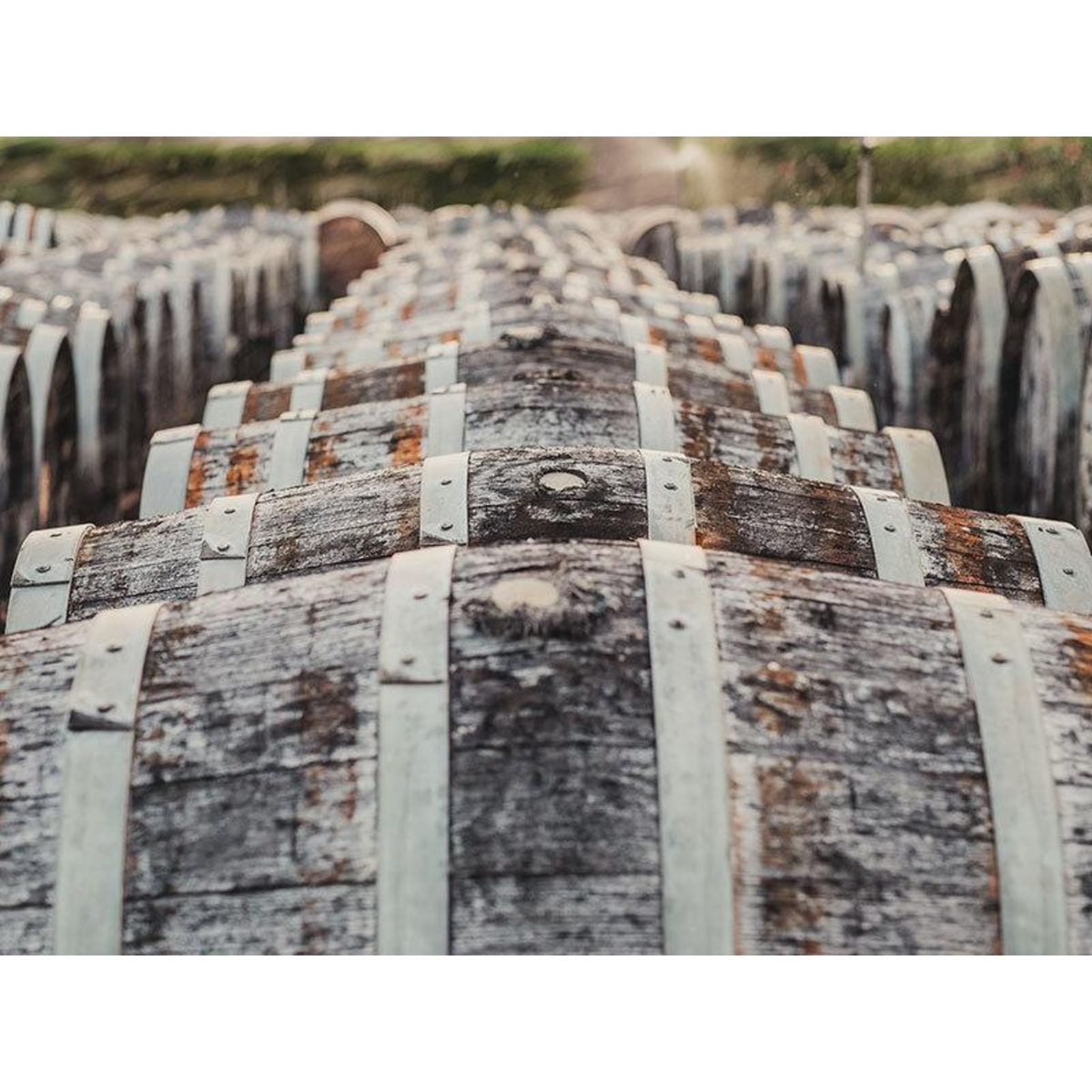 Smartbox Visite et dégustation autour du vermouth français avec la maison Bacardi - Coffret Cadeau Gastronomie