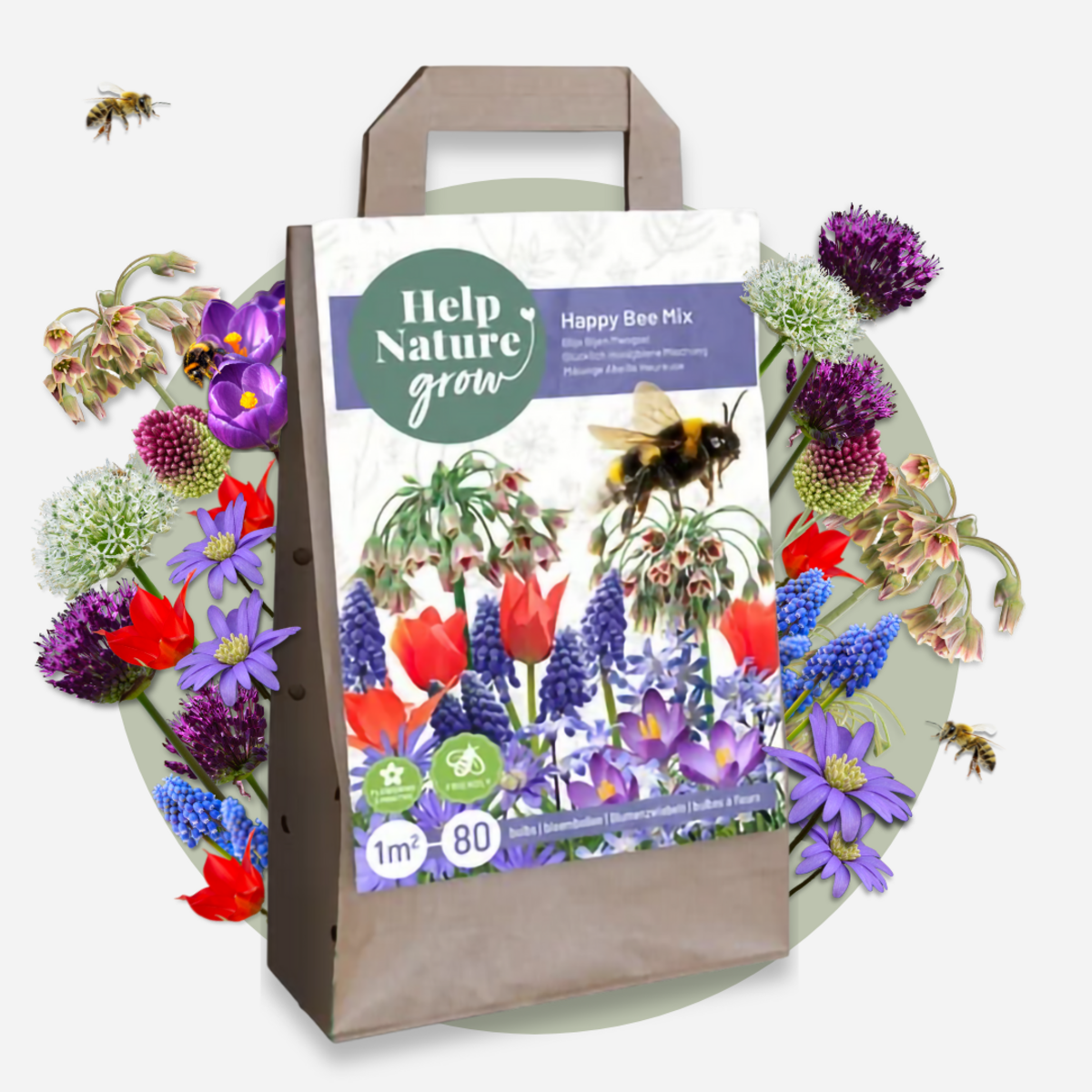 PLANT IN A BOX Mélange de bulbes qui attirent les abeil - Set de 80 - Bulbes à fleurs