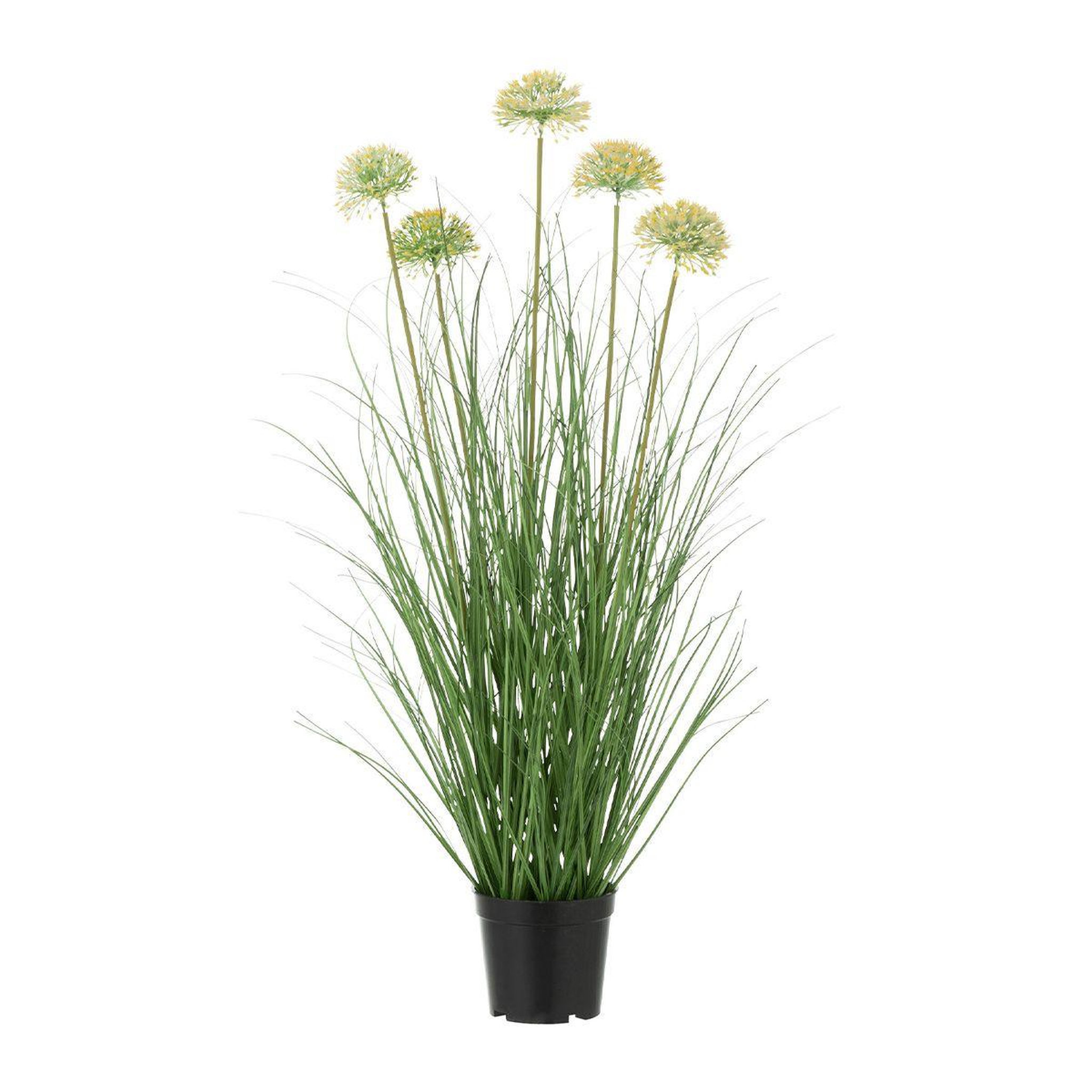 J-LINE Plante artificielle en pot  allium  72cm vert