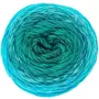 RICO DESIGN Pelote fil coton turquoise - ricorumi spin spin 50 g