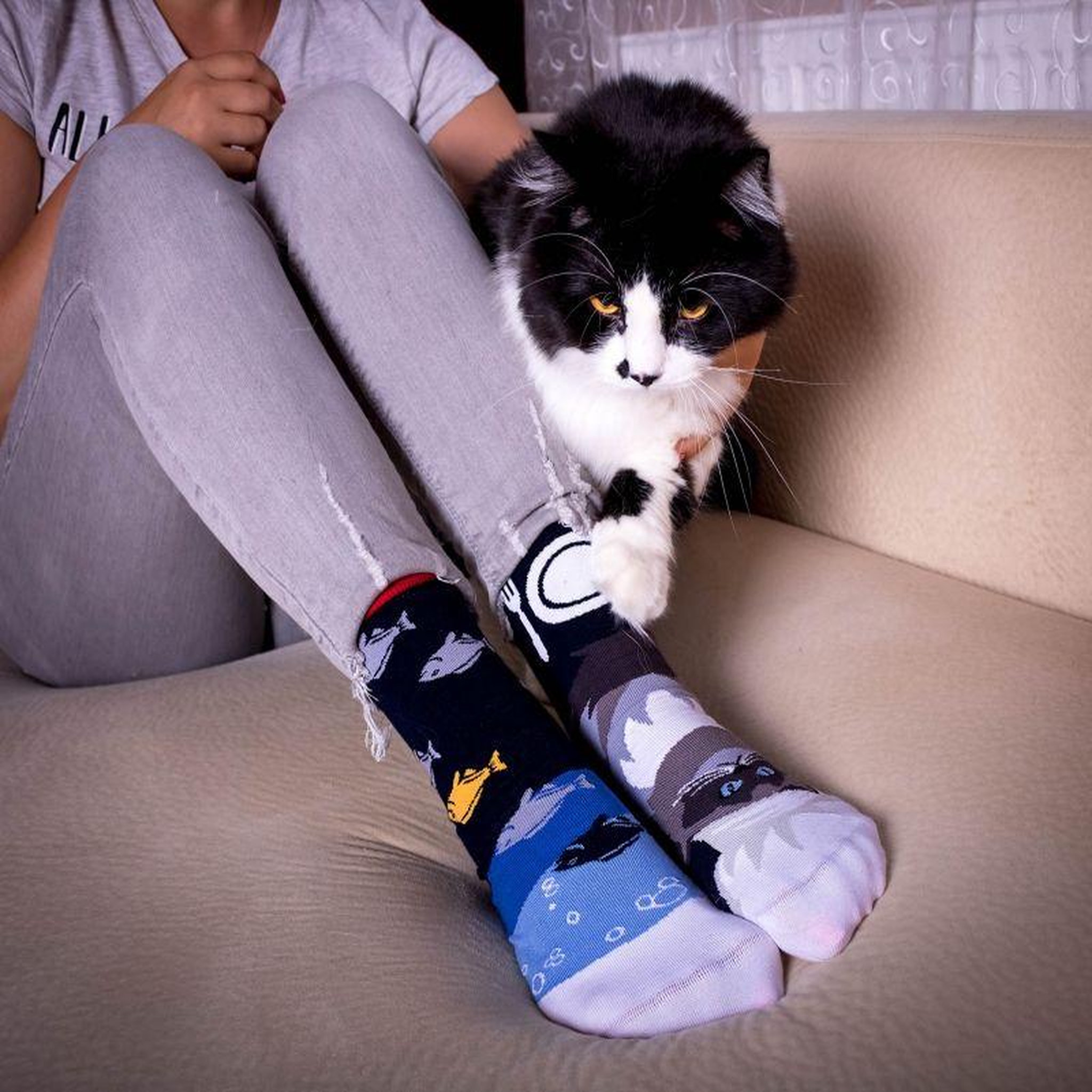 Voir la diapositive 3 : PIRIN HILL Chaussettes arty himalaya le chat
