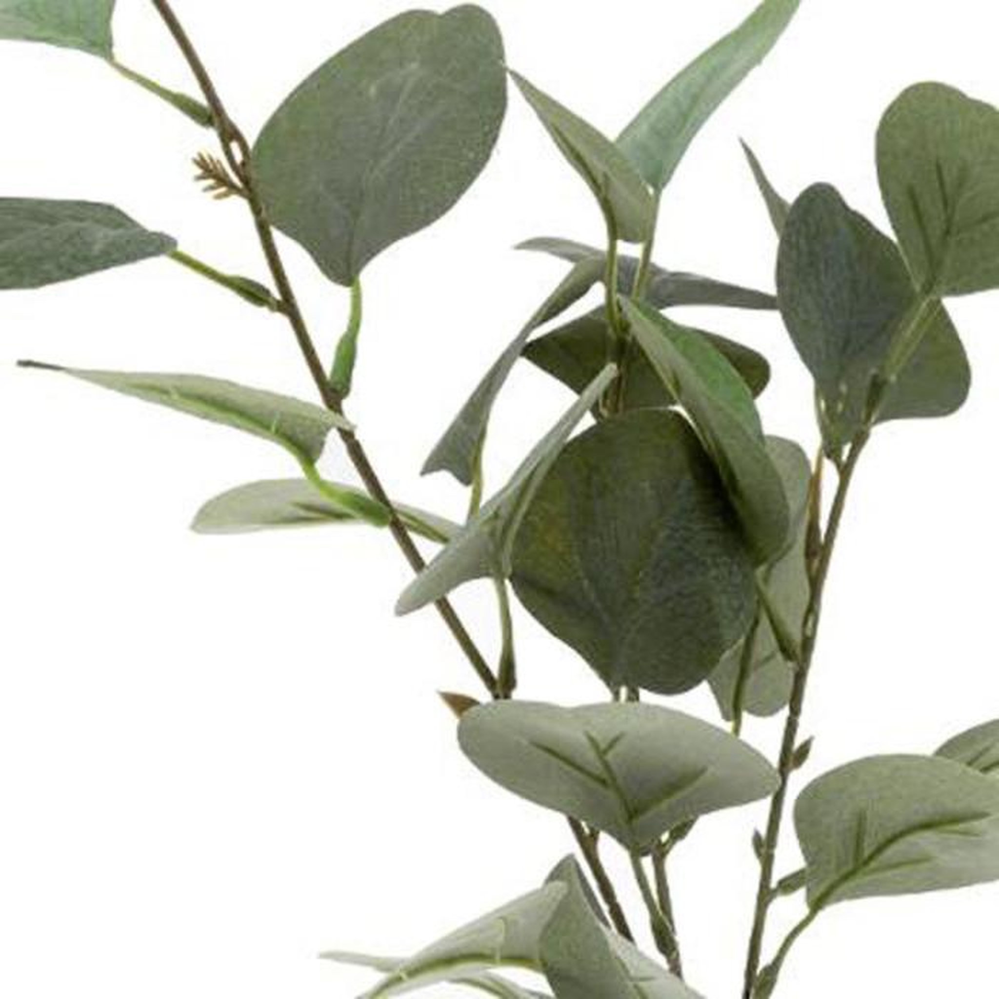 Voir la diapositive 2 : ATMOSPHERA Vase & eucalyptus  corde  45cm vert