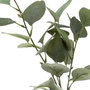 Voir la diapositive 2 : ATMOSPHERA Vase & Eucalyptus  Corde  45cm Vert