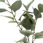 Voir la diapositive 2 : ATMOSPHERA Vase & Eucalyptus  Corde  45cm Vert