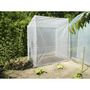 Voir la diapositive 1 : Serre Tomates 1,7m2