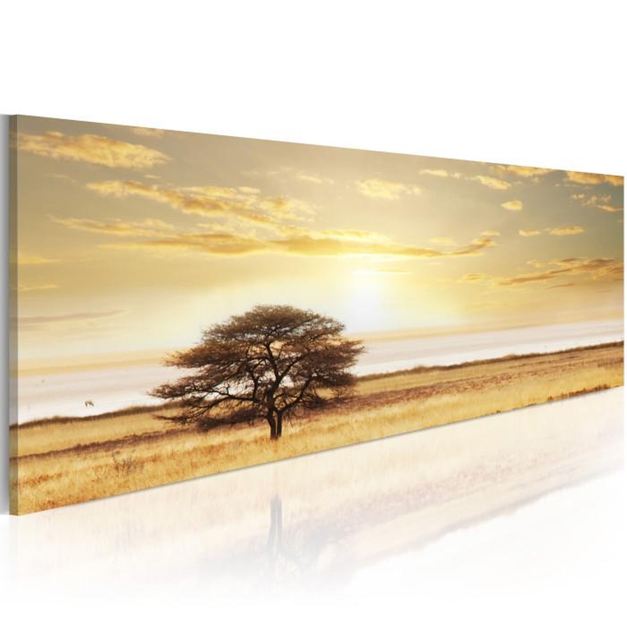 Paris Prix Tableau Imprimé  Lonely Tree on Savannah. Coloris disponibles : Multicolore