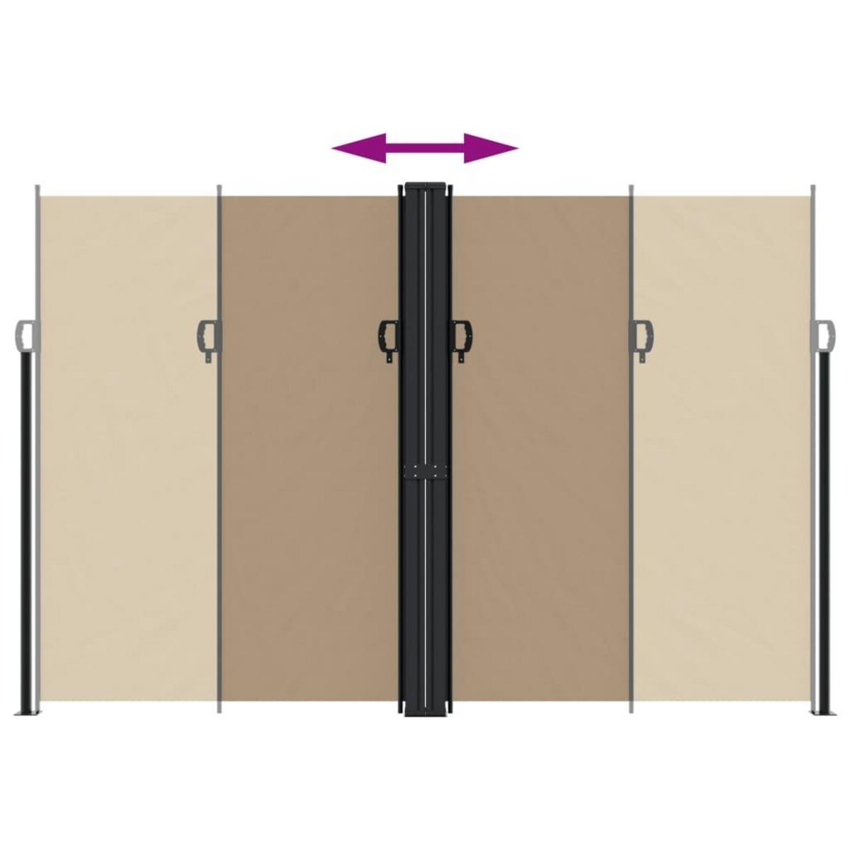 VIDAXL Auvent lateral retractable taupe 220x1200 cm