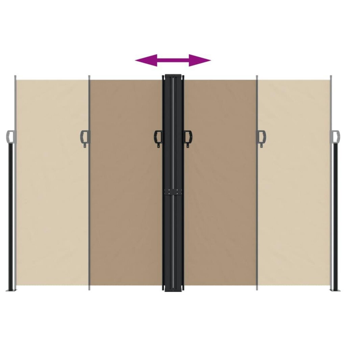 VIDAXL Auvent lateral retractable taupe 220x1200 cm