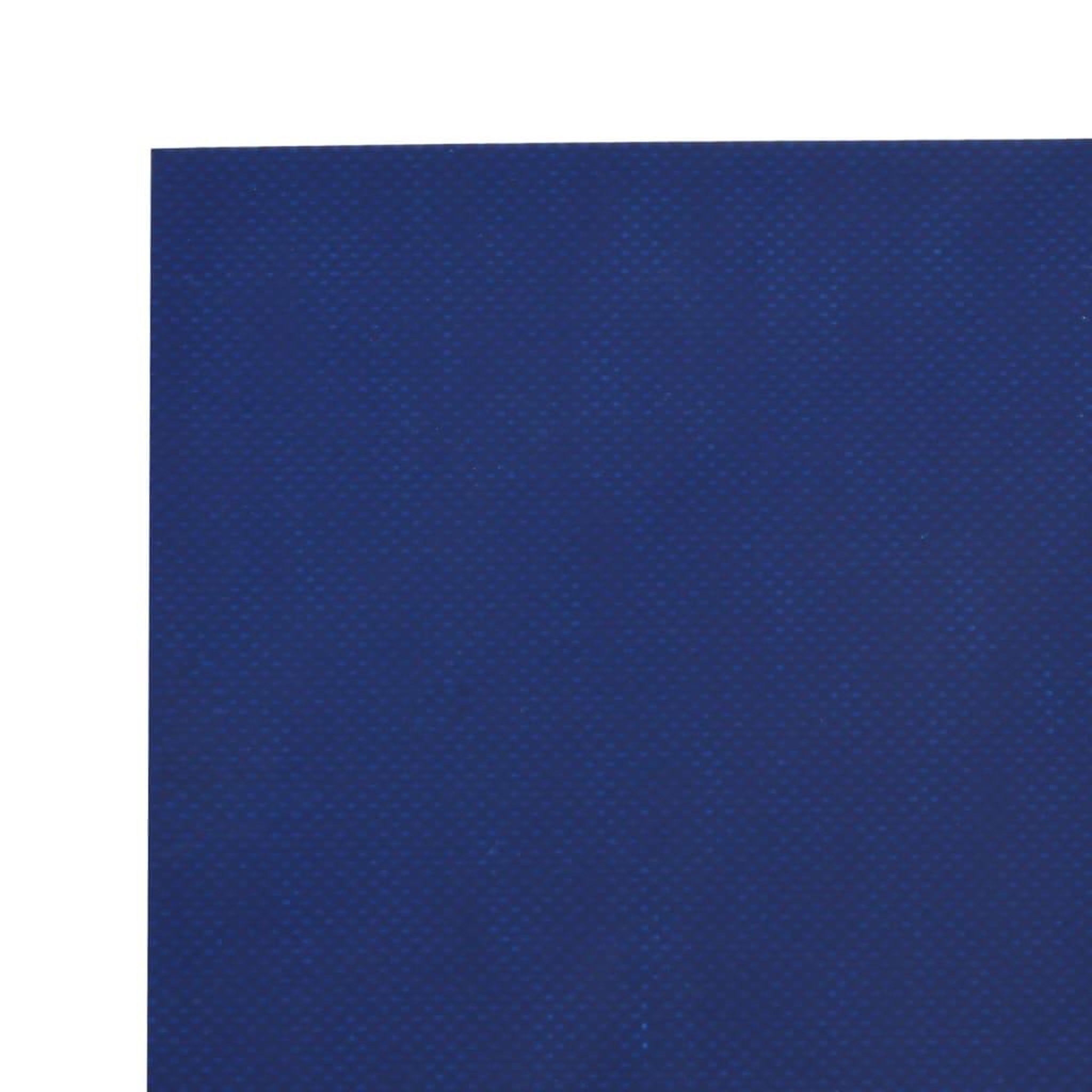 Voir la diapositive 5 : VIDAXL Bache bleu 5x8 m 650 g/m²
