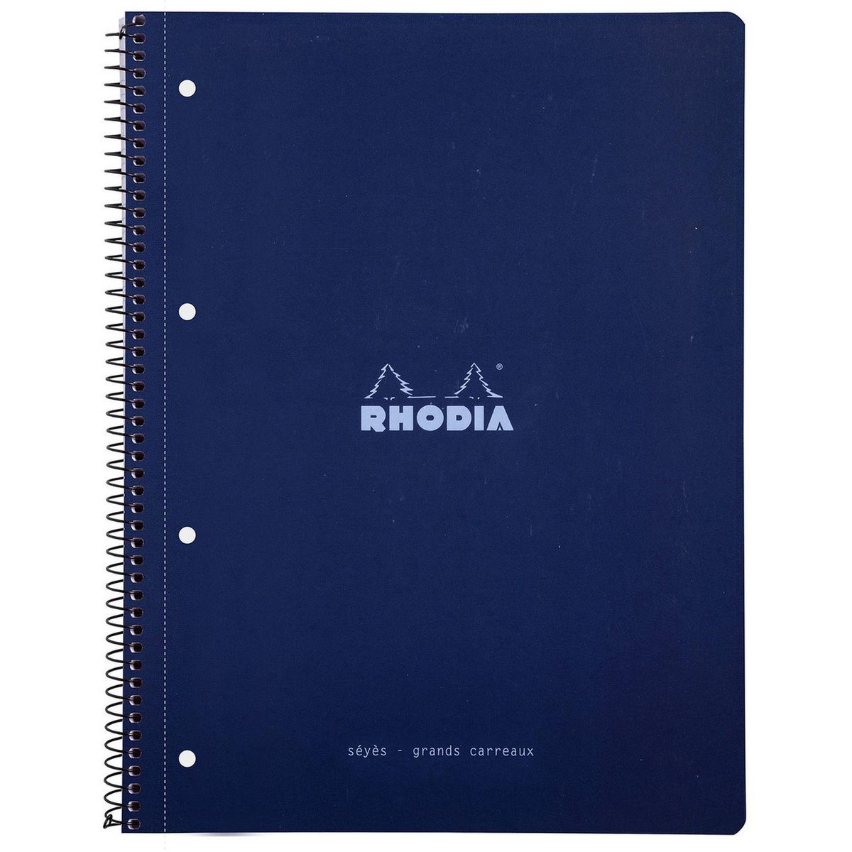 RHODIA Cahier 29,5x22,3 cm 160 pages à spirales grands carreaux seyes paon