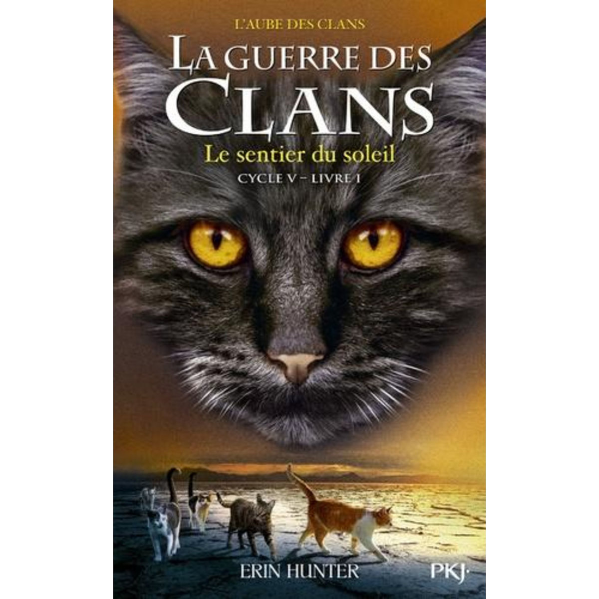 LA GUERRE DES CLANS : L'AUBE DES CLANS (CYCLE V) TOME 1 : LE SENTIER DU SOLEIL, Hunter Erin