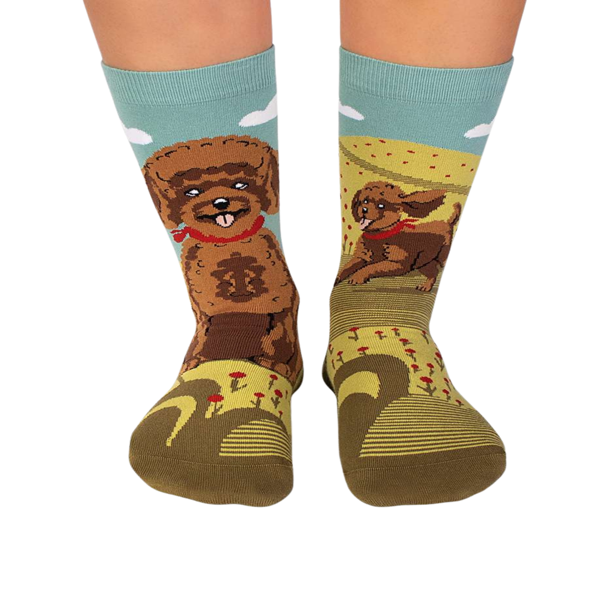 PIRIN HILL Chaussettes arty caniche. Coloris disponibles : Multicolore