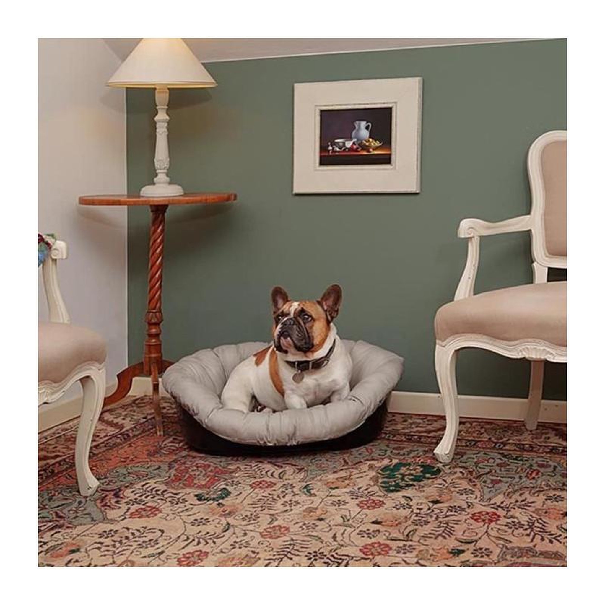 Voir la diapositive 4 : Ferplast Coussin - FERPLAST - SOFA 6 - Motif 1