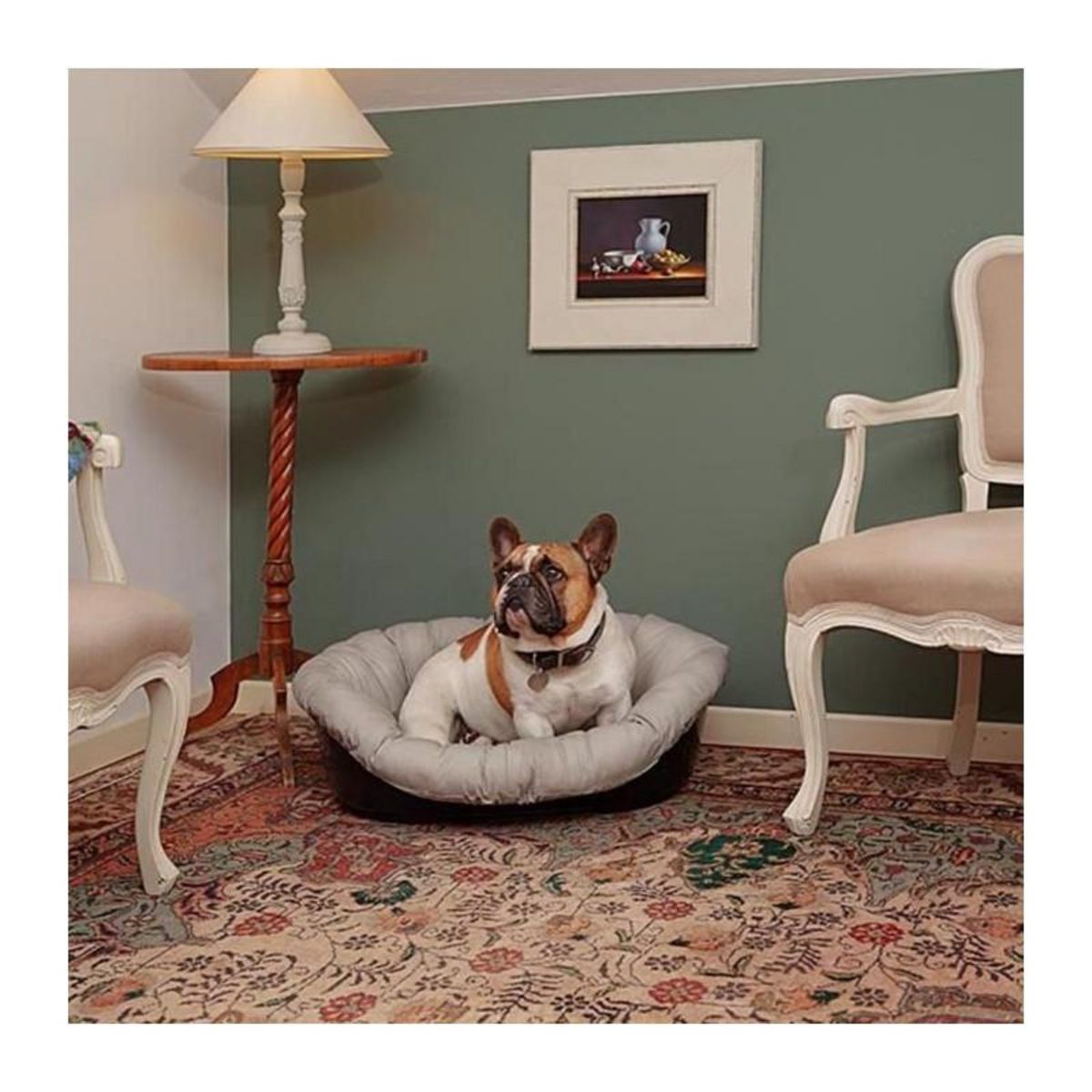 Ferplast Coussin - FERPLAST - SOFA 6 - Motif 1