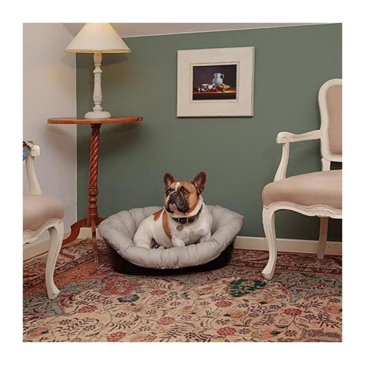 Ferplast Coussin - FERPLAST - SOFA 6 - Motif 1