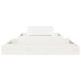Voir la diapositive 4 : VIDAXL Jardiniere Blanc 80x80x27 cm Bois massif de pin