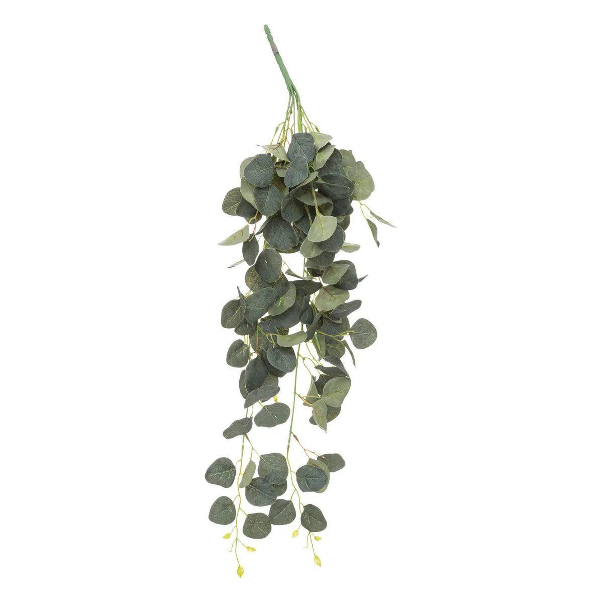ATMOSPHERA Tige artificielle eucalyptus  drew  80cm vert