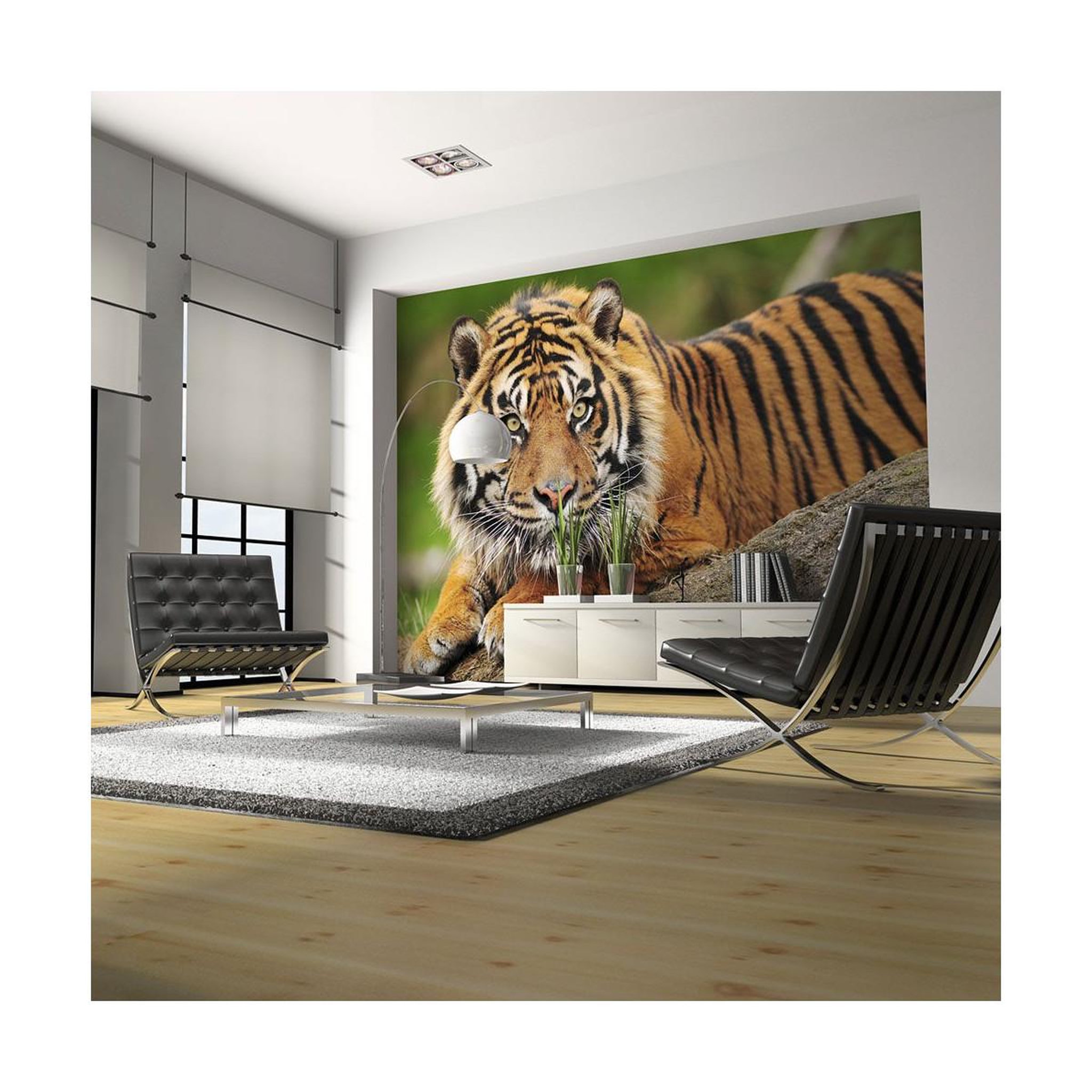 Paris Prix Papier peint  tigre de sumatra. Coloris disponibles : Multicolore