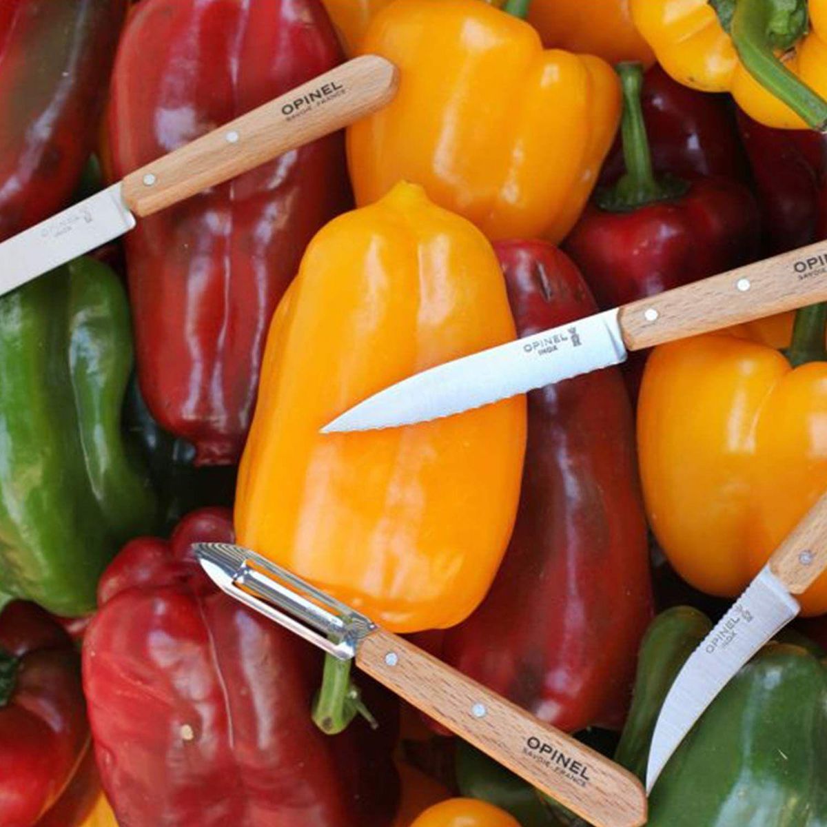Opinel Coffret 4 couteaux essentiels Opinel