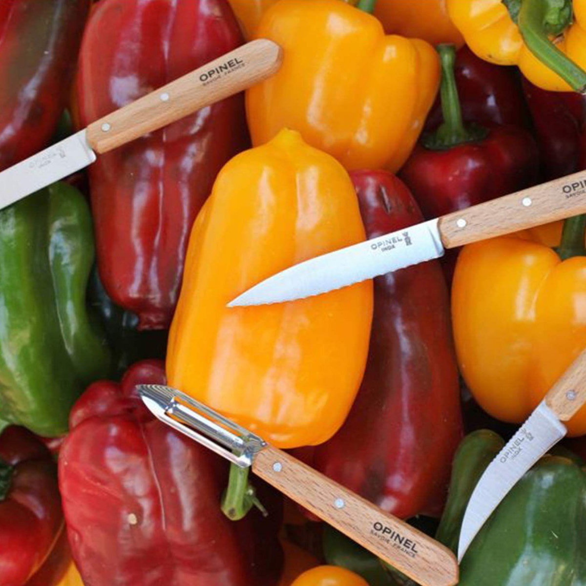 Opinel Coffret 4 couteaux essentiels Opinel