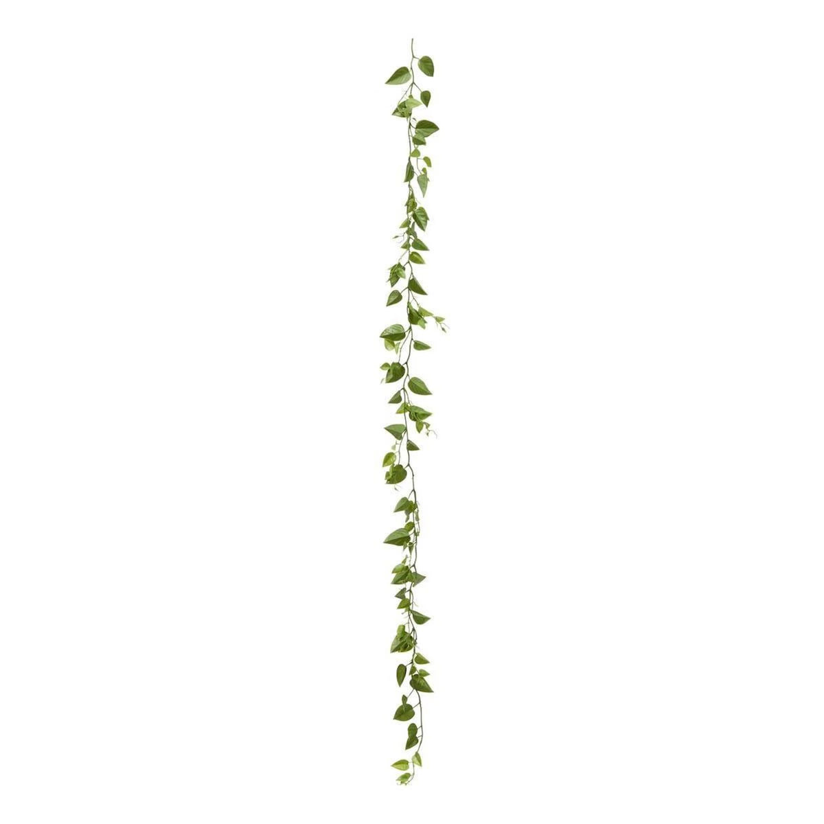 ATMOSPHERA Guirlande Pothos Artificiel  Bellan  180cm Vert