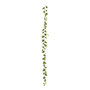 Voir la diapositive 1 : ATMOSPHERA Guirlande Pothos Artificiel  Bellan  180cm Vert