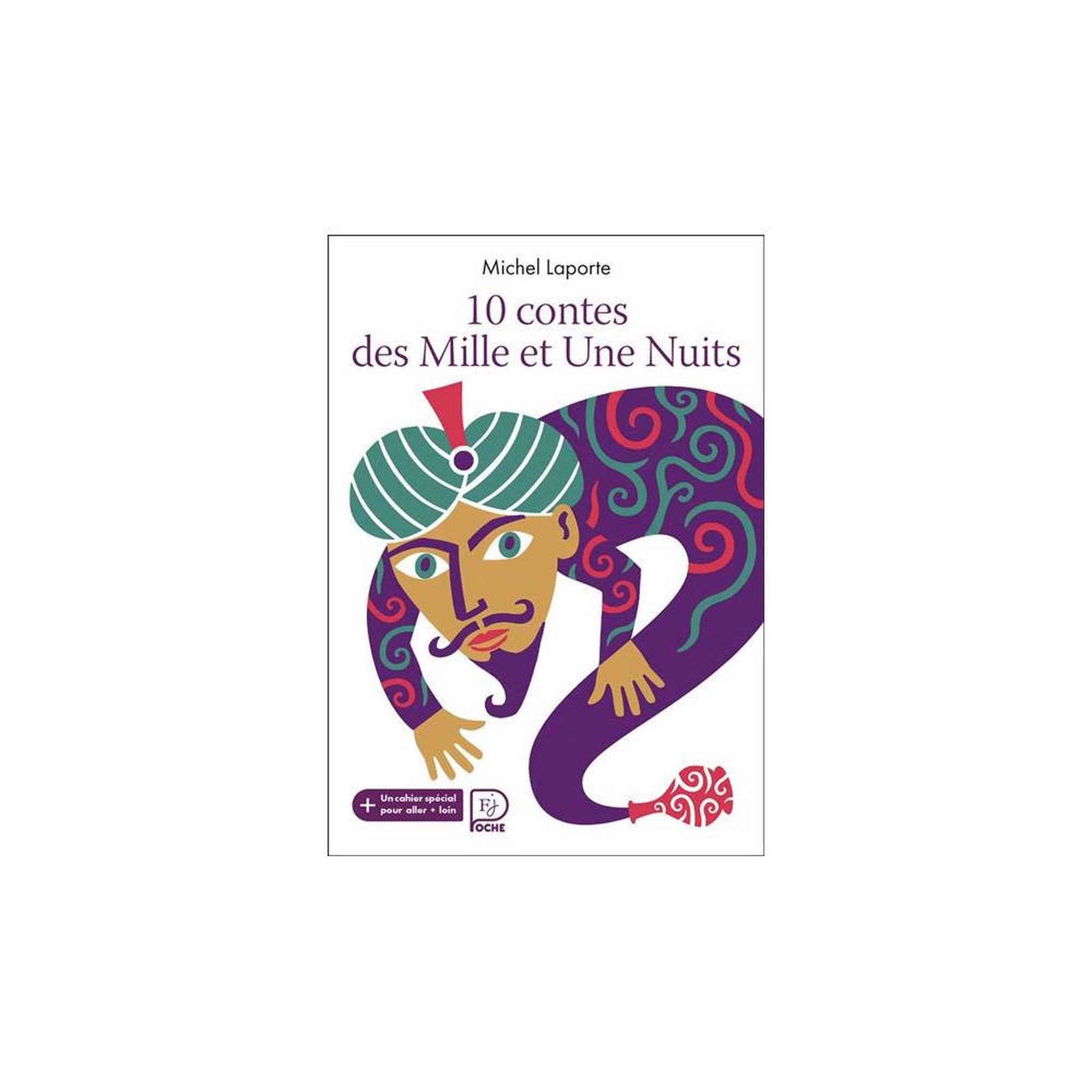 FLAMMARION Livre jeunesse 10 contes des mille et une nuits michel laporte, collection romans 9-12 ans, édition broché illustrée
