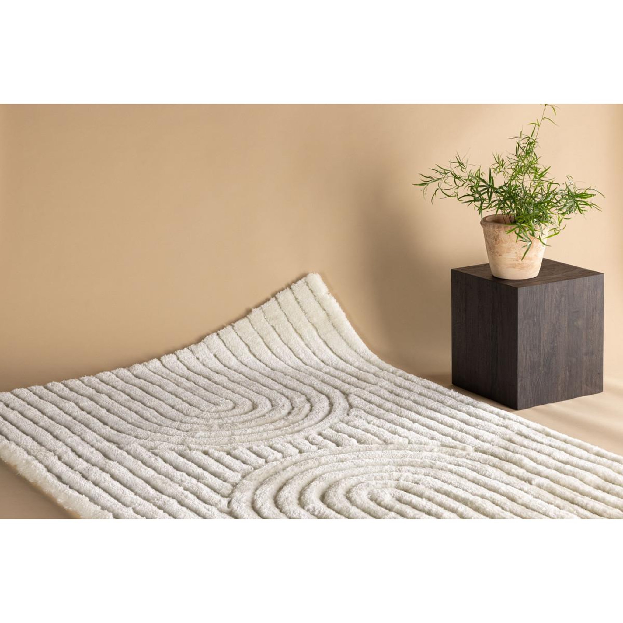 Voir la diapositive 3 : Paris Prix Tapis déco texturé  niklas  160x230cm blanc