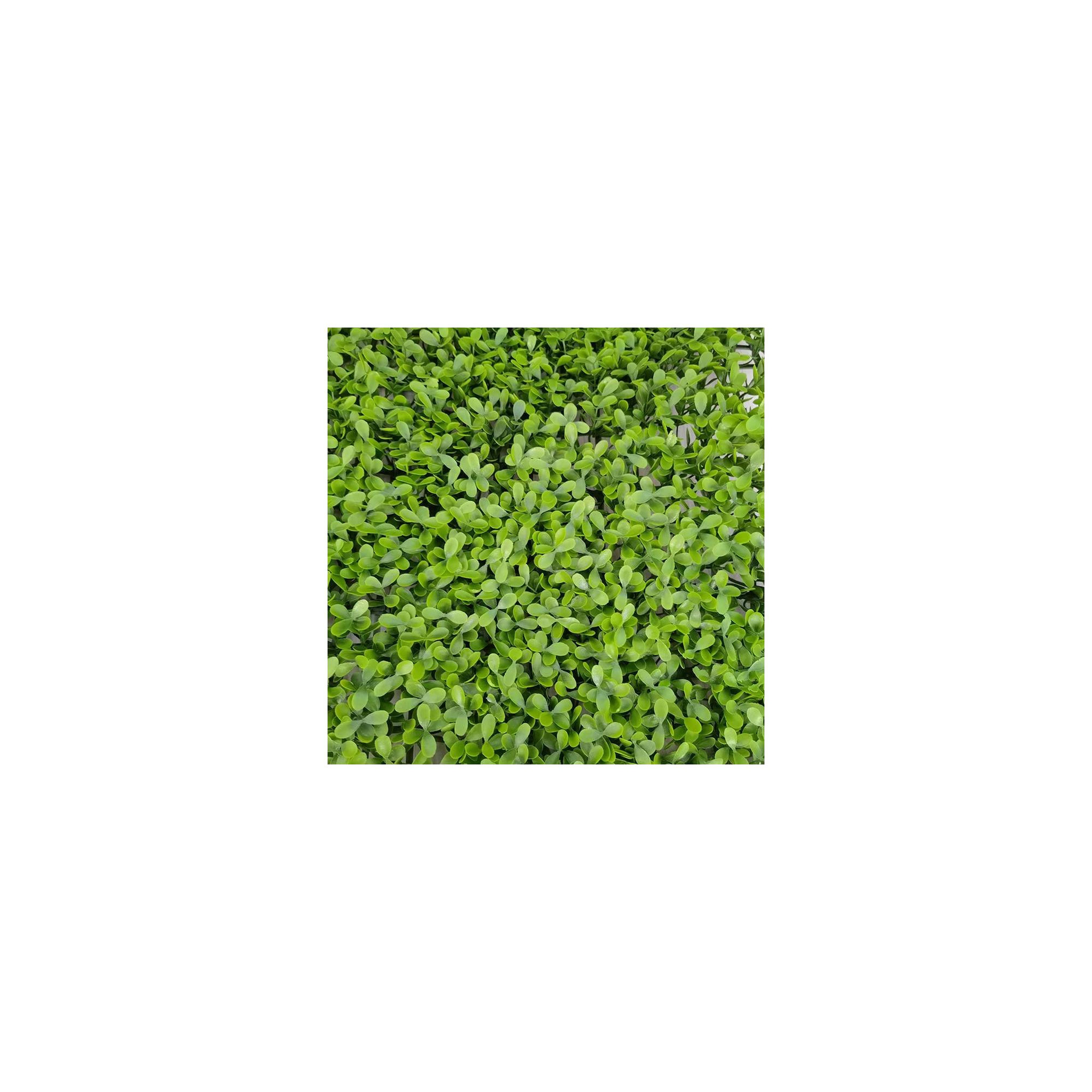 Voir la diapositive 3 : Mur végétal artificiel - Modèle vert - Dimensions : 50 x 50 cm