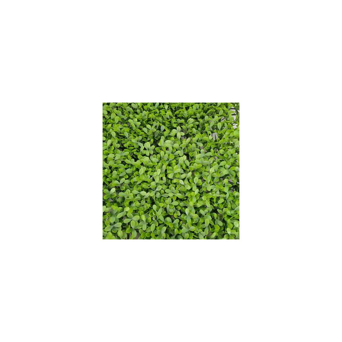 Mur végétal artificiel - Modèle vert - Dimensions : 50 x 50 cm