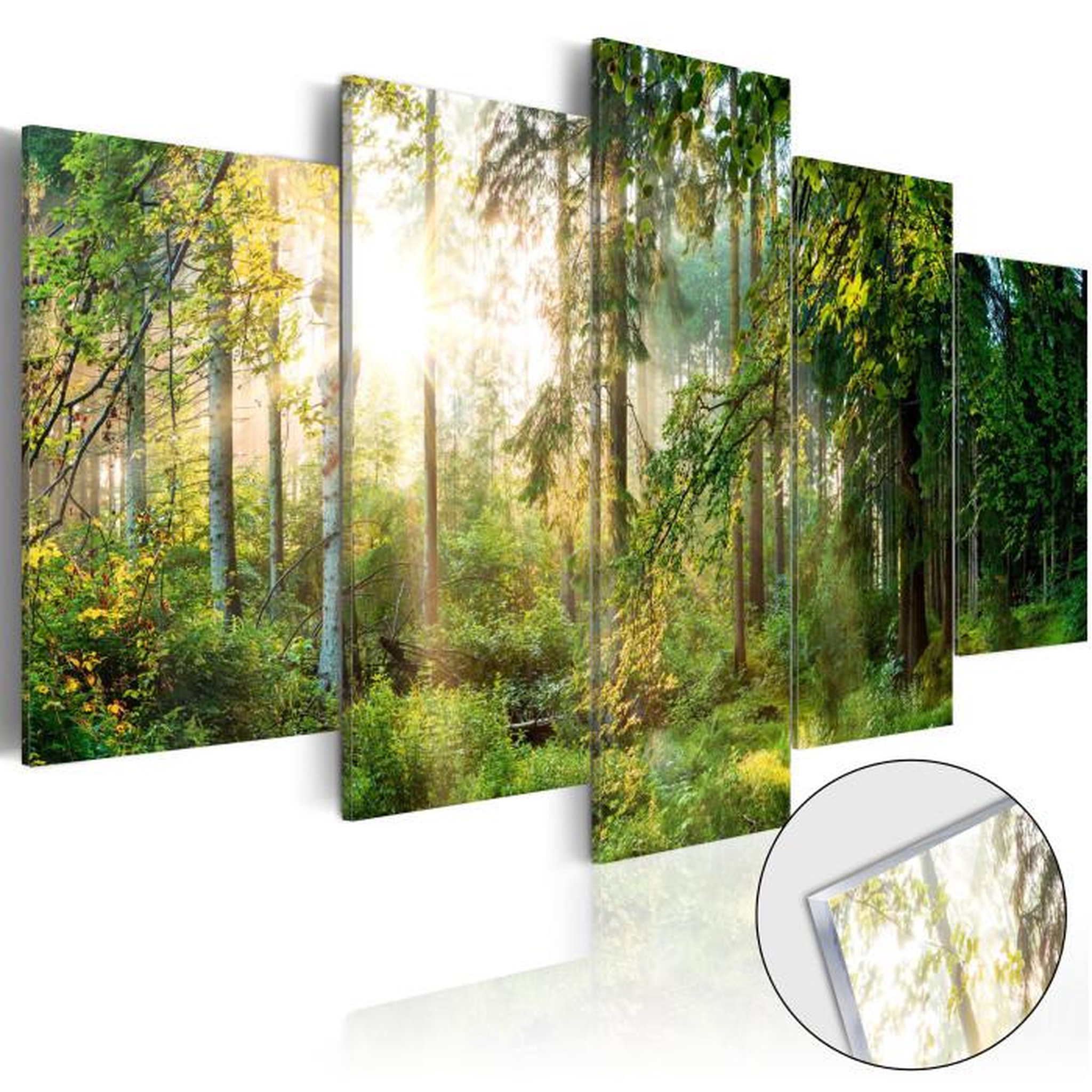 Paris Prix Tableau sur Verre Acrylique  Green Sanctuary. Coloris disponibles : Multicolore