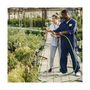 Voir la diapositive 4 : VITO Garden Tuyau d'arrosage 19mm 25m KIT PVC lance multi jet+ 2 raccords + nez de robinet VITO