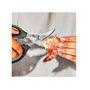 Voir la diapositive 3 : OXO Ciseaux à crustacés - OX11350600
