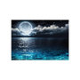 Voir la diapositive 2 : Paris Prix Papier Peint  Blue Lagoon