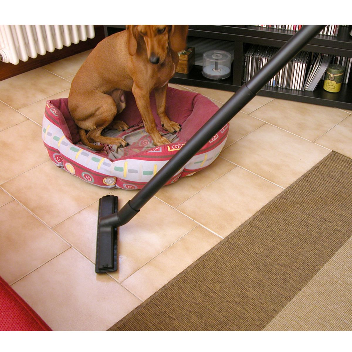 LAVOR Aspirateur eau et poussière Rudy 1200S - 1200W