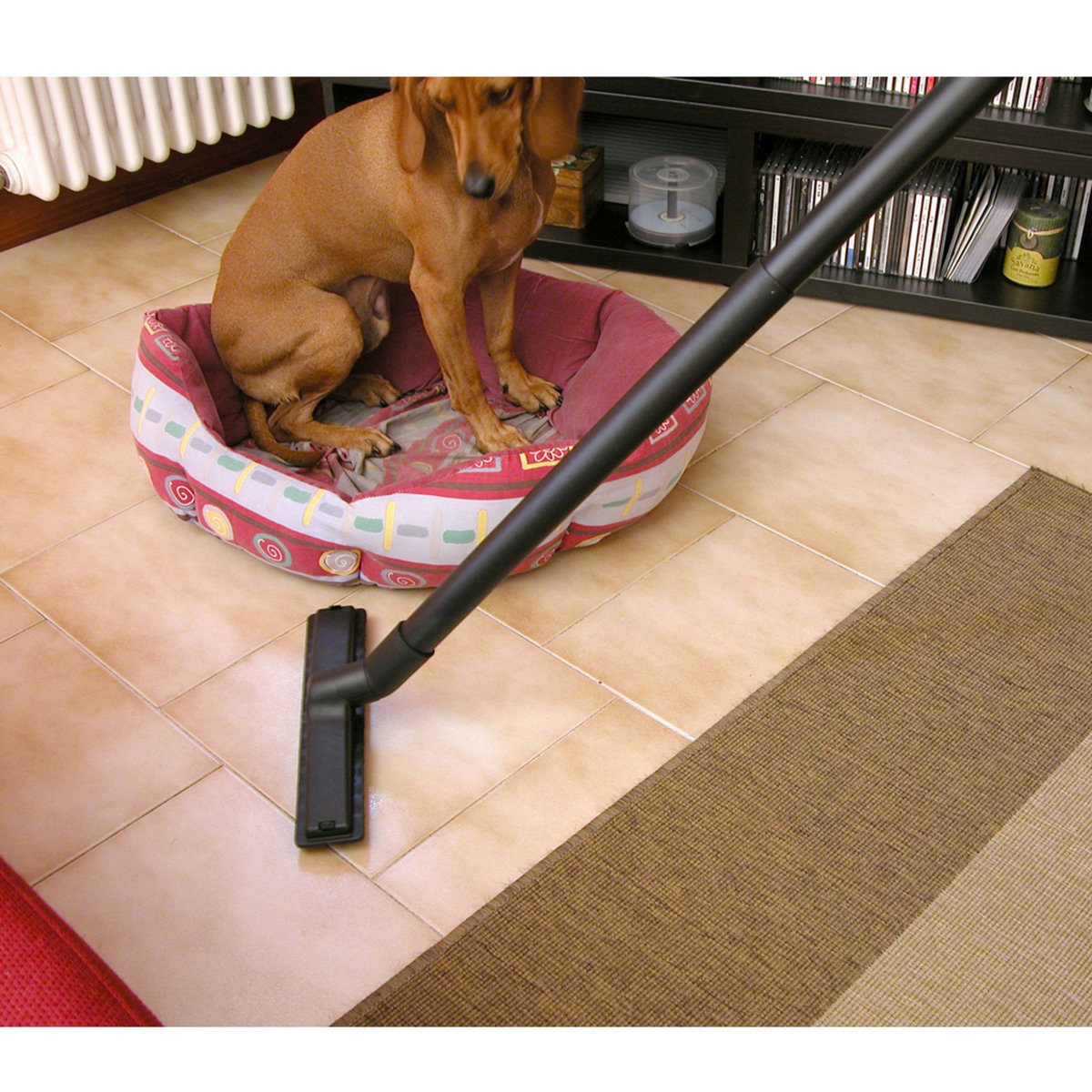 LAVOR Aspirateur eau et poussière Rudy 1200S - 1200W