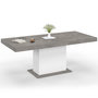 Voir la diapositive 1 : ID MARKET Table à manger extensible rectangle EDEN 6-10 personnes béton et blanc 160-200 cm