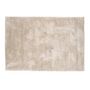 Voir la diapositive 1 : Paris Prix Tapis Design  Walter  200x290cm Beige