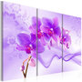 Voir la diapositive 1 : Paris Prix Tableau Imprimé  Ethereal Orchid Violet