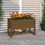 Voir la diapositive 1 : VIDAXL Jardiniere Marron miel 78x40x52 cm Bois massif de pin
