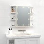Voir la diapositive 3 : VIDAXL Armoire a miroir avec LED Blanc 70x16,5x60 cm