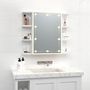 Voir la diapositive 3 : VIDAXL Armoire a miroir avec LED Blanc 70x16,5x60 cm