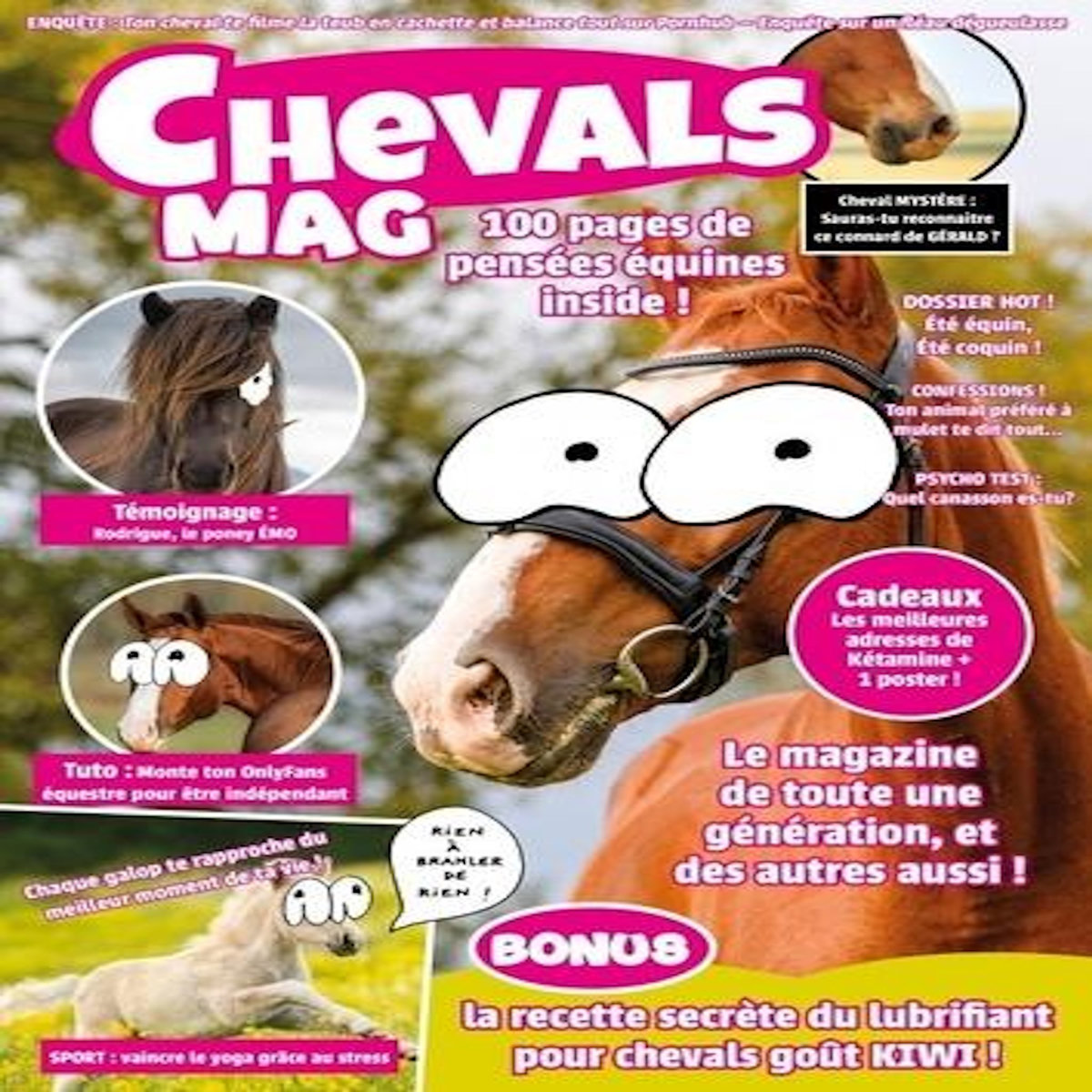 CHEVALS MAG, Bertho Nils