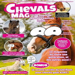 CHEVALS MAG, Bertho Nils