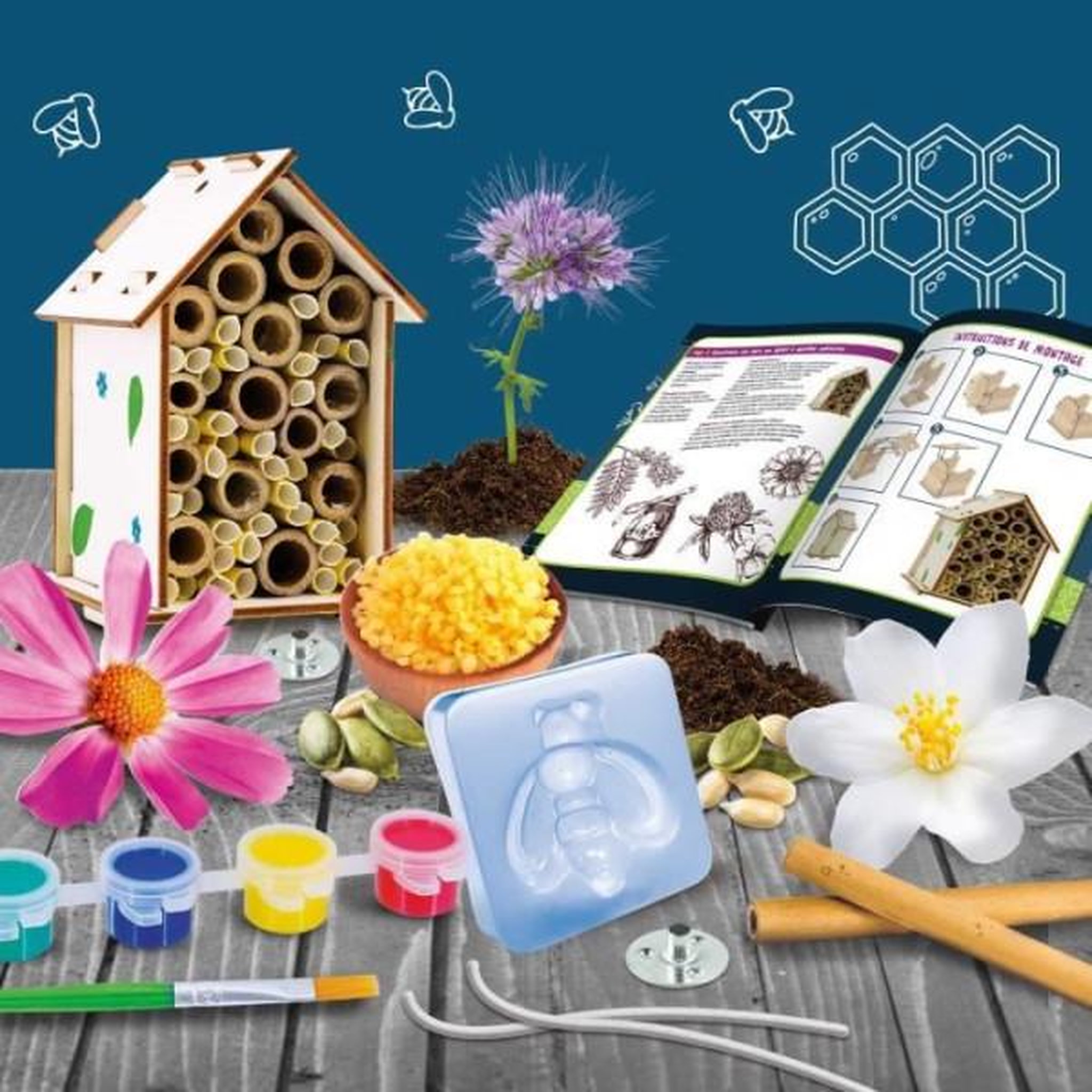 Voir la diapositive 2 : LISCIANI GIOCHI Laboratoire des abeilles - Kit Scientifique - I'M A GENIUS - Expériences variées