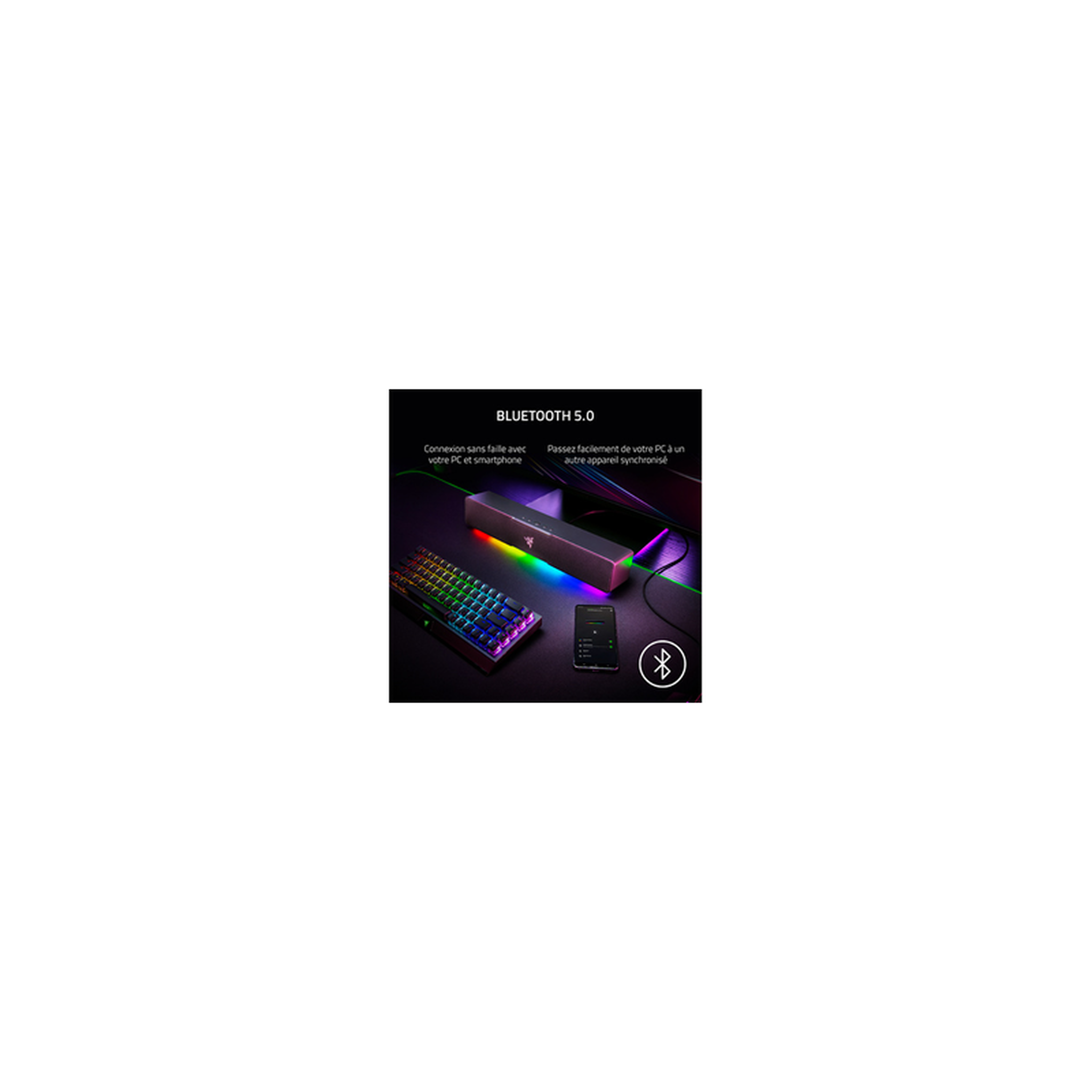 Voir la diapositive 6 : Razer Enceinte pc leviathan v2 x