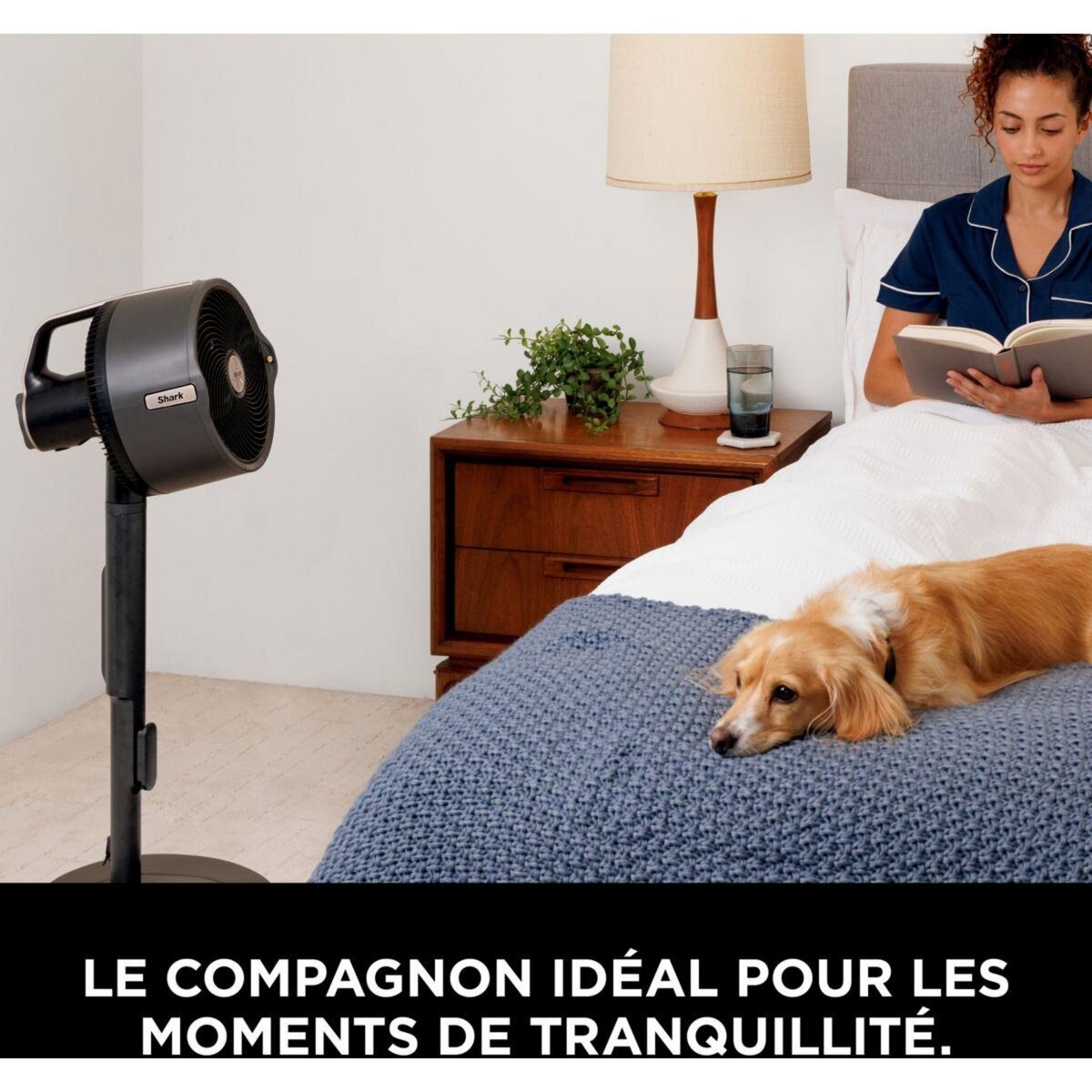 Shark Ventilateur brumisateur FlexBreeze ProMist FA300EU