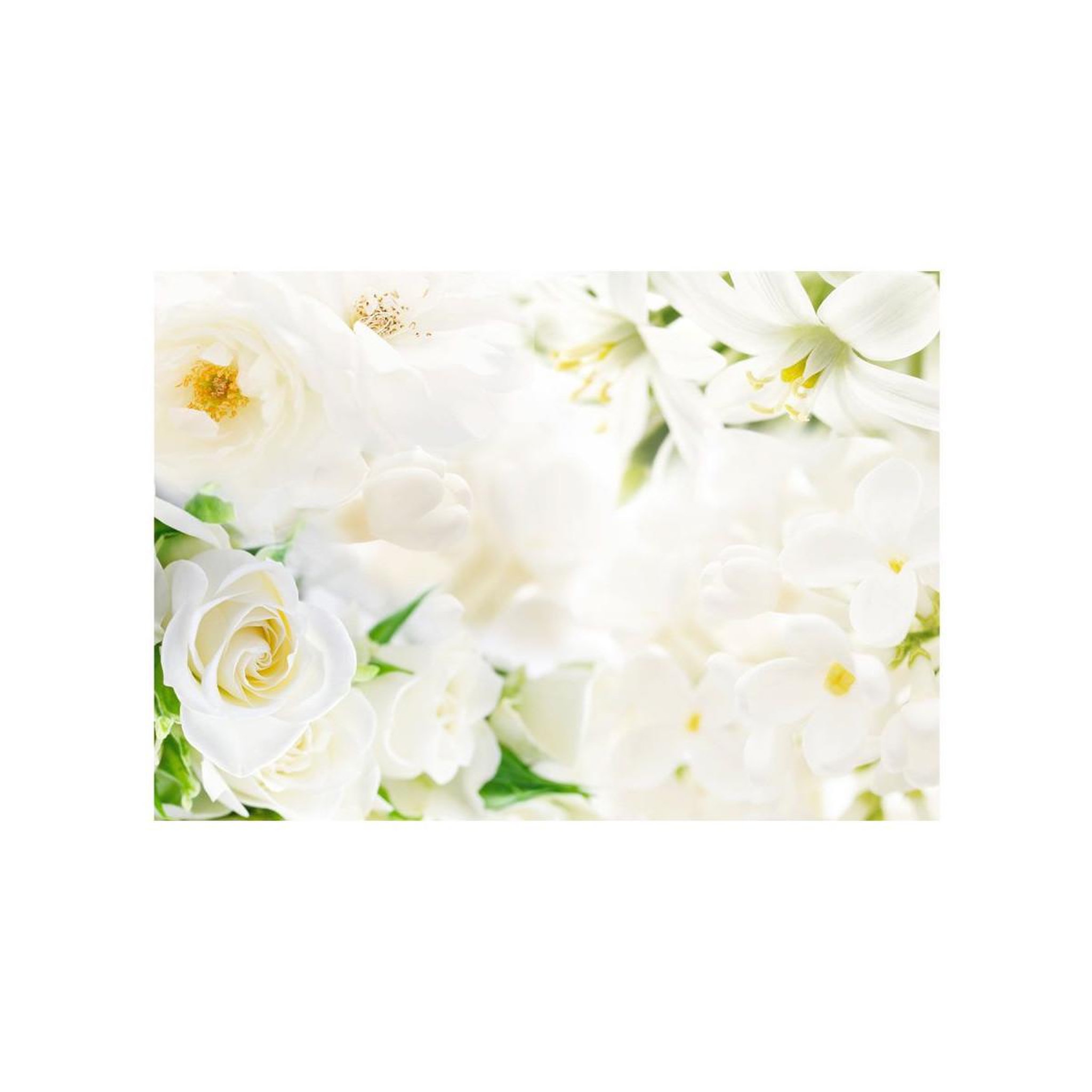 Voir la diapositive 2 : Paris Prix Papier peint  white sigh