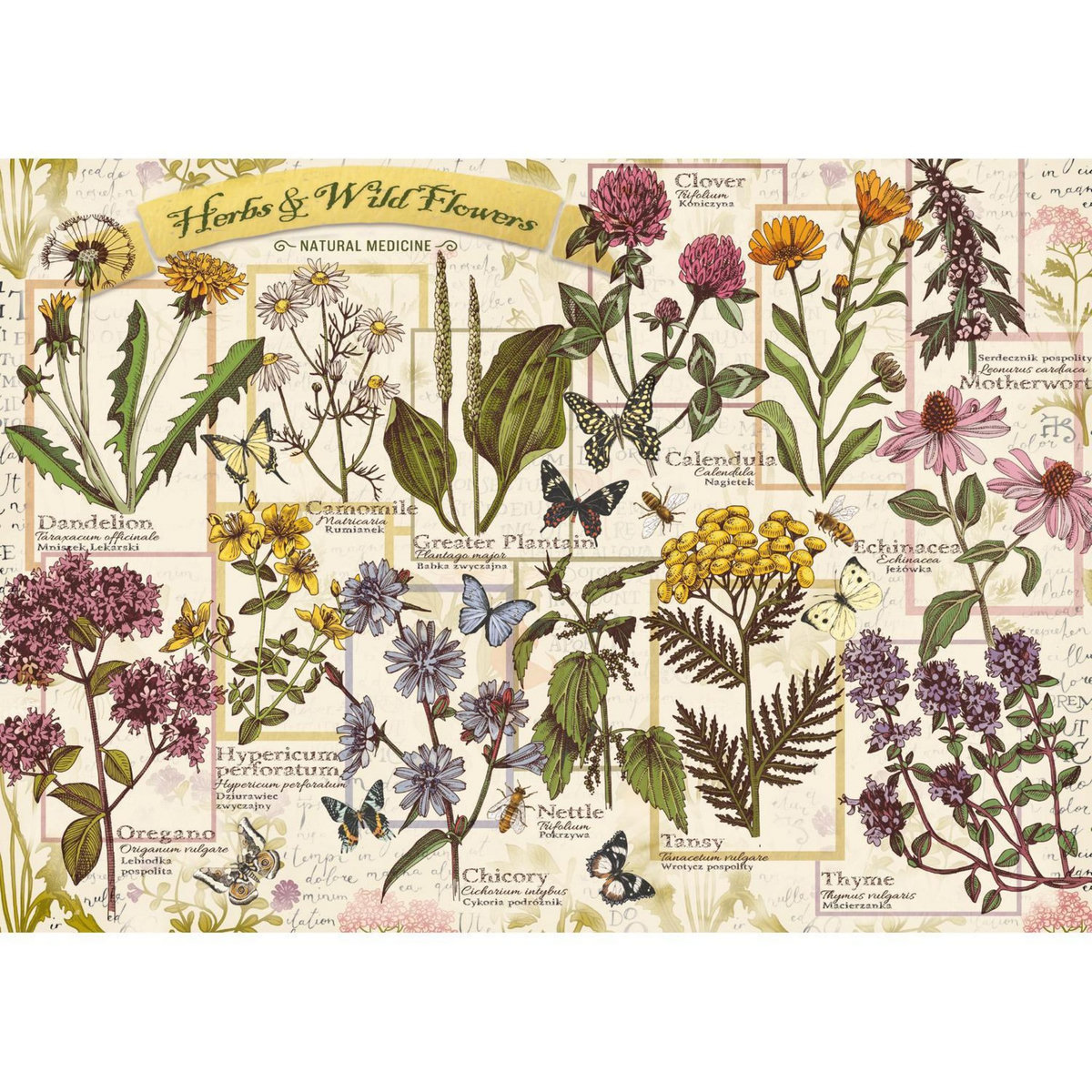 Trefl Puzzle 500 pièces : Herbier : Herbes Médicinales