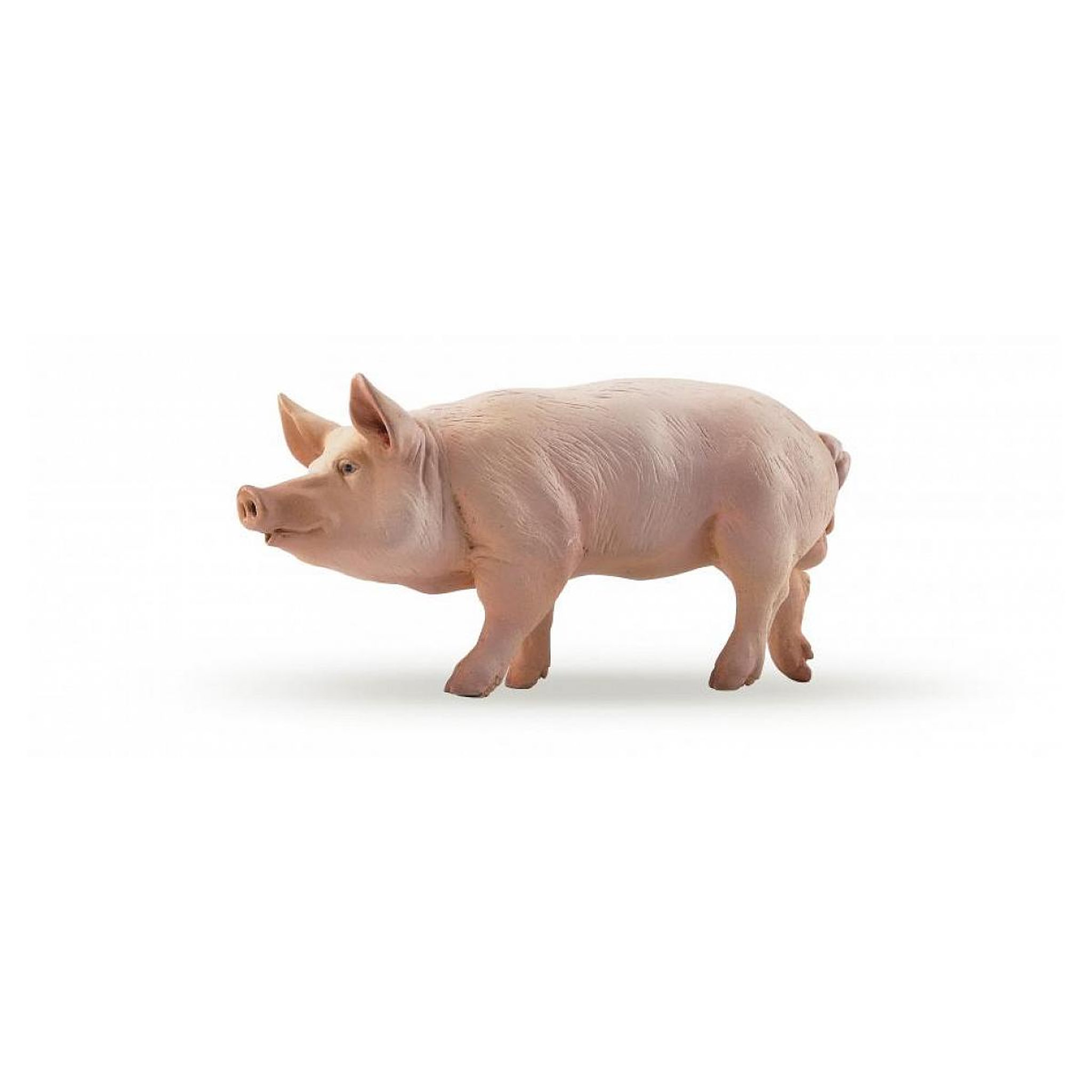 Papo 51044 Verrat  figurine